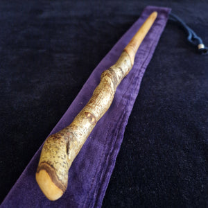 Wooden Wand # 62 - Cornish Birch