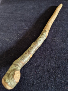 Wooden Wand # 51 Cornish Alder